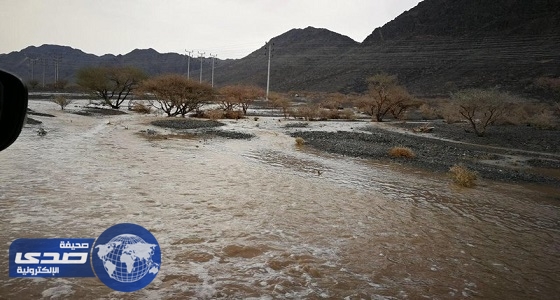 بالصور.. مدني المدينة: هطول أمطار رعدية غزيرة