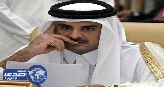 إحالة دعوى ” اعتذار قطر ” لمصر إلى ” المفوضين “