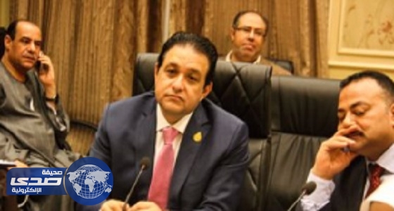برلماني مصري: هيومان رايتس مشبوهة وممولة من قطر