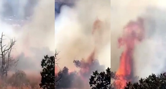 بالفيديو| الدفاع المدني يباشر حريقًا ألتهم أشجار جبل حضوة في بللسمر