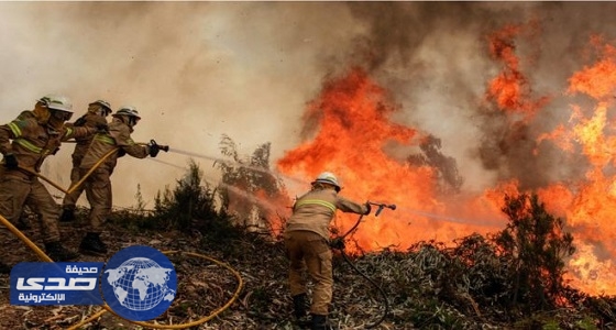 استقالة وزيرة برتغالية على خلفية كوارث حرائق الغابات