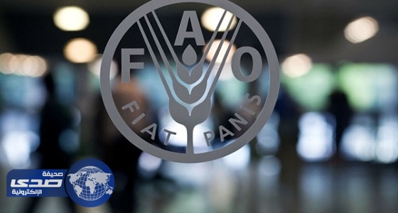 الفاو: المملكة أسخى البلدان المانحة للمعونات إلى المهاجرين حول العالم