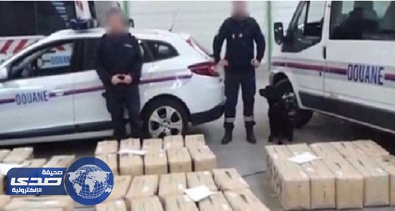 الجمارك الفرنسية تضبط شحنة مخدرات بـ17 مليون يورو