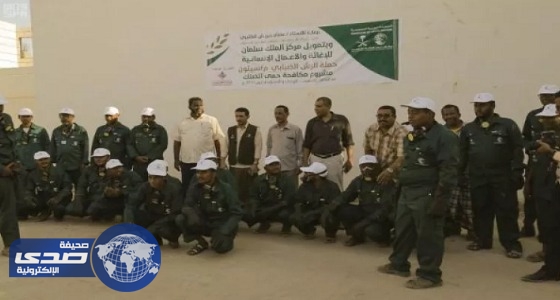 بدء المرحلة الثانية لحملة مكافحة حمى الضنك في سيئون