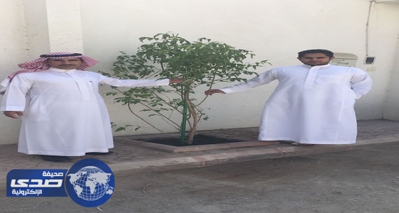 بالصور.. سكان الرياض يتفاعلون مع برنامج الأمانة البيئي &#8221; شجرة لكل مبنى &#8220;