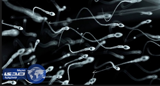 تعرف على معدلات خصوبة الرجال حول العالم.. ودولة عربية الأقل عالمياً
