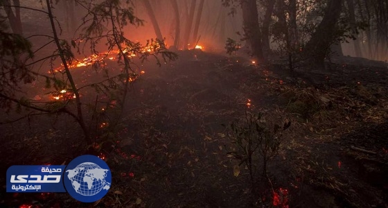 ارتفاع عدد قتلى حرائق كاليفورنيا إلى 42 قتيلًا