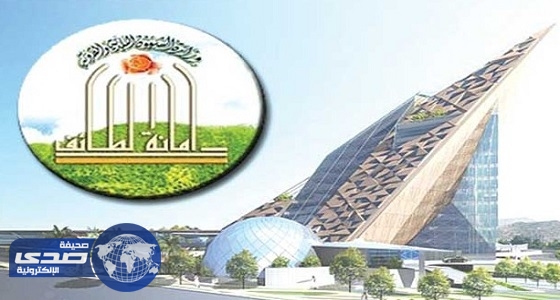 أمانة الطائف تضبط 400 مادة غذائية فاسدة شرق المحافظة