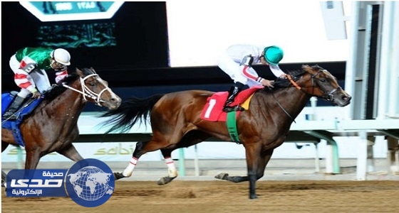 بحضور وزير الحرس الوطني.. انطلاق موسم سباقات فروسية الرياض