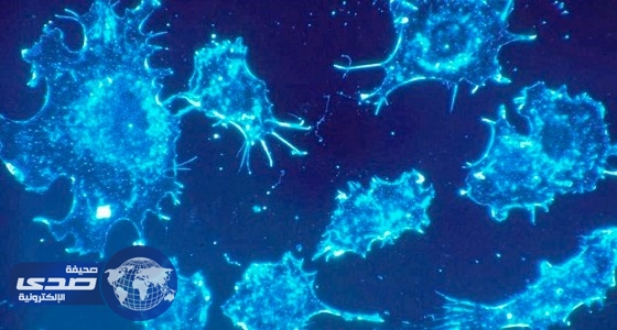 مكملات الزنك توقف نمو الخلايا السرطانية