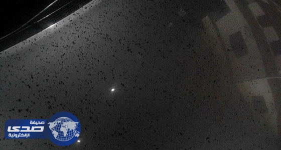 بالصور..حقيقة الأمطار السوداء التي أفزعت مدينة أسيوط المصرية