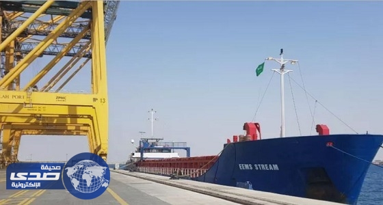 وصول 265 طناً من البضائع السائلة لميناء الملك عبدالله برابغ