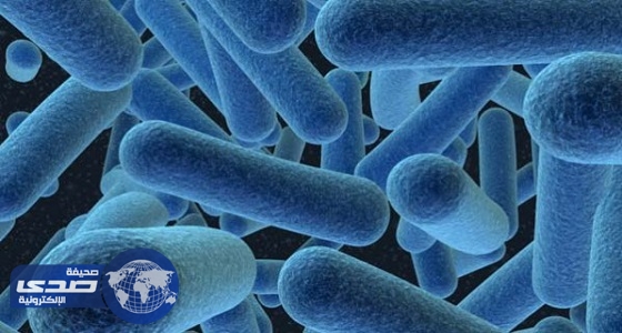 الجرثومة الميكروبية الجلدية تحتوى على العديد من البكتيريا