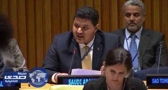 المملكة تؤكد دعمها تحقيق العدالة