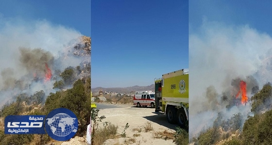 الهلال الأحمر يعالج حالتين أصيبا في حريق في جبال الخلب بالمندق