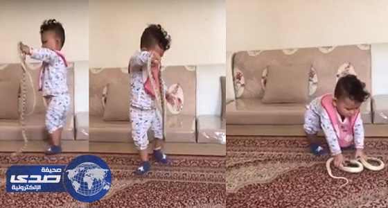 بالفيديو.. طفل يلعب مع ثعبان