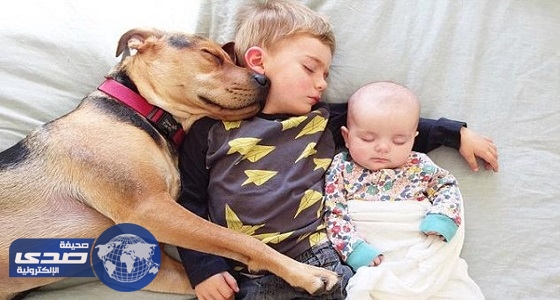 دراسة: وجود الكلب في حجرة نومك ليلا يعطيك الطمأنينة