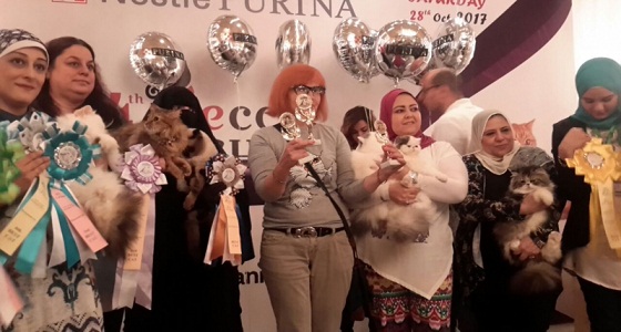 حفل تتويج ملكة جمال القطط في مصر