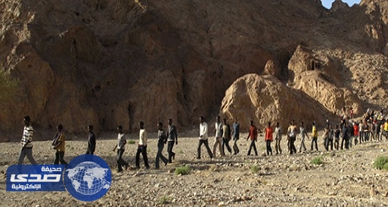 تفاصيل التحقيق مع شبكة الاتجار بالأعضاء البشرية في مصر