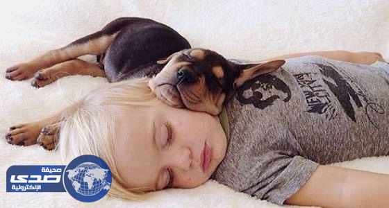 النوم بجوار الحيوانات الأليفة يسبب مشاكل صحية
