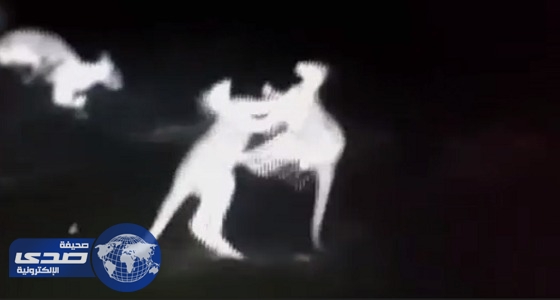 بالفيديو.. &#8221; مباراة ملاكمة &#8221; في جوف الليل بين متنافسين في إستراليا
