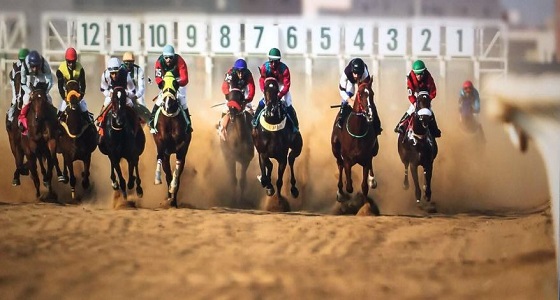 نادي الفروسية يقيم حفل سباقه الـ22 على كأسي أمانة الرياض والاستخبارات العامة