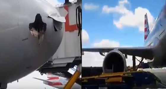 بالفيديو.. هبوط اضطراري لطائر وطائرة في مطار ميامي