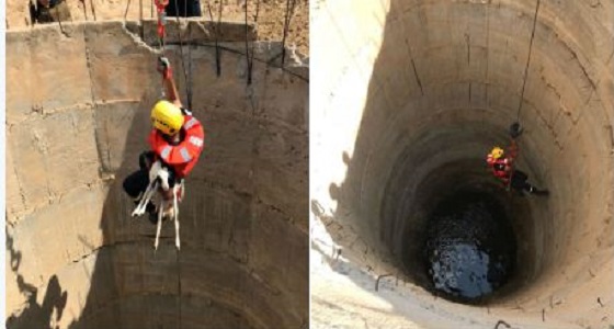 بالصور.. إنقاذ ماعز سقط في ببئر ببارق