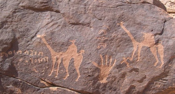 مكتبة الملك عبدالعزيز توثق رسوم صخرية للأبل ذي السنام الواحد قبل 7000 سنة بالجزيرة العربية