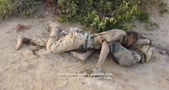 الجيش اليمني يعلن مصرع 235 انقلابيا بينهم 20 قياديا ميدانيا