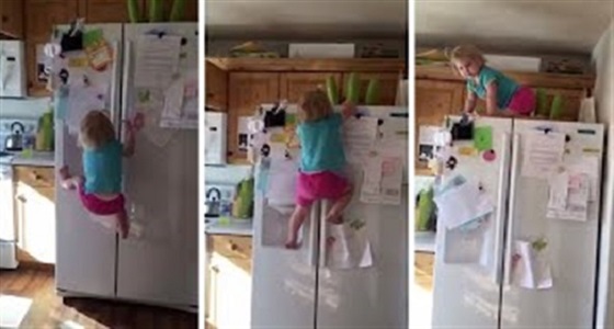بالفيديو.. طفلة تتسلق ثلاجة كالسلحفاة