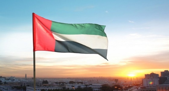 الإمارات تؤكد عزم التحالف مواصلة تدابير حماية المدنيين في اليمن