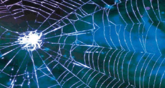 خيوط العنكبوت تستخدم في تنظيف ميكروفونات الجوال