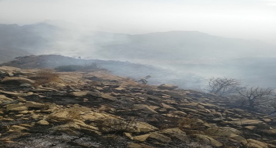 بالصور.. &#8221; مدني النماص &#8221; يسيطر على حريق أشجار بمنطقة جبلية
