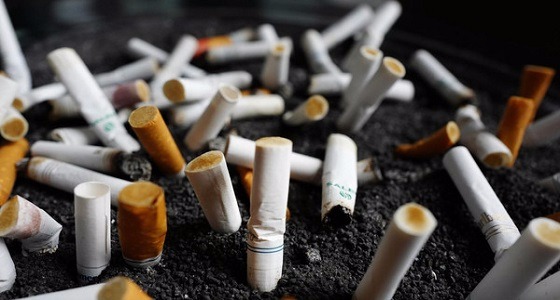 على مدار عقود.. شركات التبغ تخدع مواطنيها بأضرار التدخين