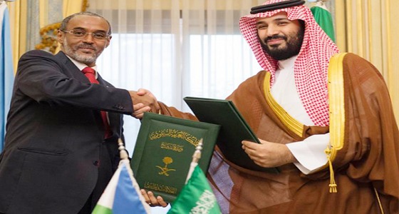 وزير دفاع جيبوتي : نرحب بالقاعدة العسكرية السعودية في بلدنا