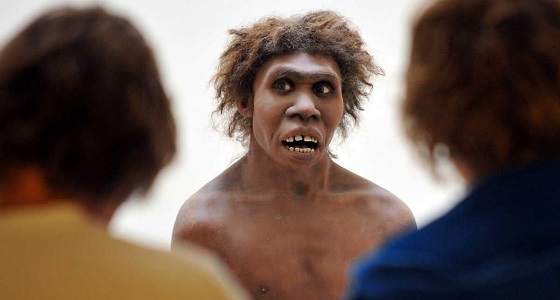 طالب بريطاني يعثر على أسنان أقدم أسلاف البشر