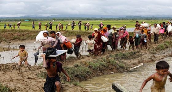 إبادة مسلمي الروهينجا تسقط من أجندة بابا الفاتيكان في ميانمار