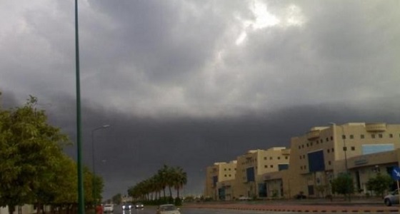 الأرصاد: منخفض جوي يؤثر على مناطق الشريط الساحلي اليوم وذروته غداَ