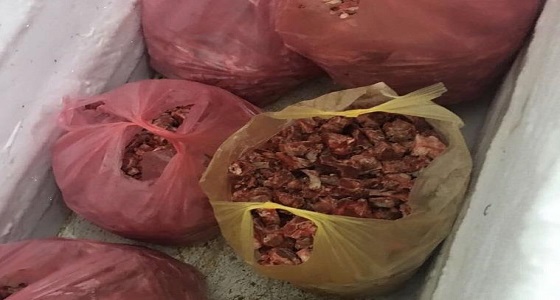 بالفيديو والصور.. ضبط كمية كبيرة من اللحوم الفاسدة في الرياض