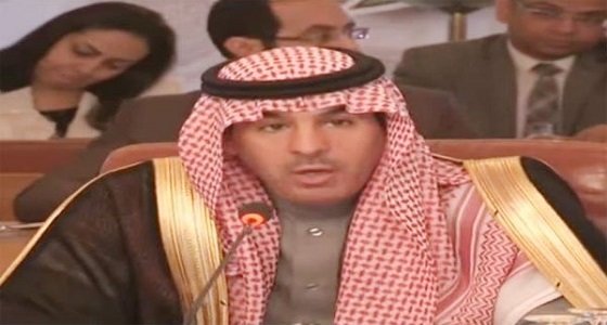 العواد: مصر ستبقى عصية على محاولات الإرهاب