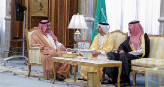 الأمير خالد بن سلطان يستقبل رئيس الاتحاد الدولي لسباقات الخيل العربية