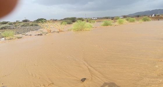 سيول في وادي كلية وتمايا برابغ .. والدفاع المدني تحذر