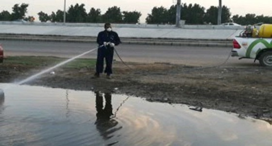 بالصور.. أمانة جدة: خطة طواريء لرش تجمعات مياه الأمطار