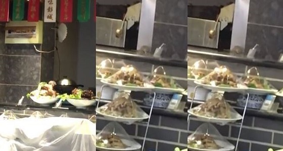 فيديو صادم لفئران تتجول بين أطعمة أحد المطاعم