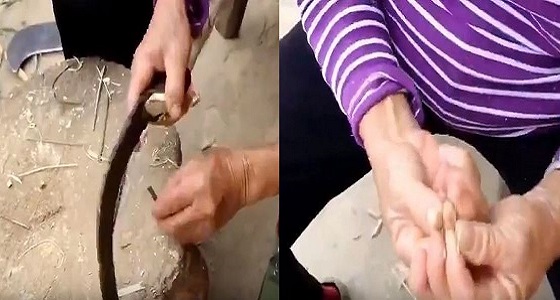 بالفيديو.. سيدة تصنع صنارة غريبة لصيد السمك
