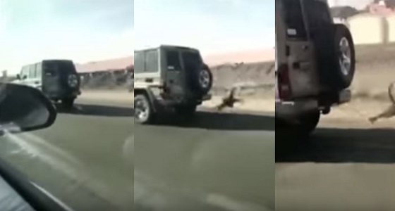 بالفيديو.. شاب يسحل كلبًا علي الأسفلت بسيارته