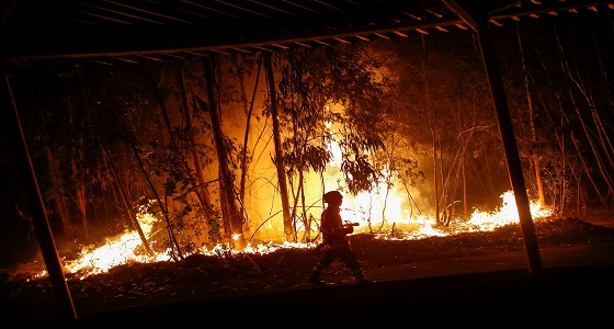 احتواء أكثر من 90 بالمائة من أكبر حريق غابات تشهده كاليفورنيا