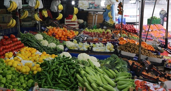 الزراعة: صادرات المملكة الزراعية إلى لبنان بلغت 338 مليون ريال العام الماضي