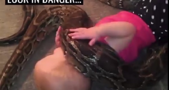 فيديو مروع لثعبان ضخم يلتف حول رقبة طفلة